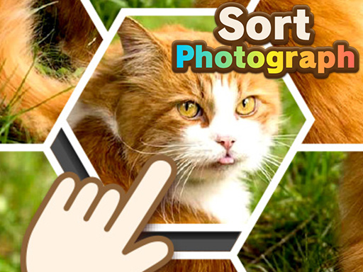 Sort Photograph_img